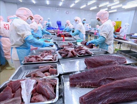 Tuna exports forecast to rise